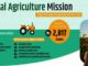 ಡಿಜಿಟಲ್ ಅಗ್ರಿಕಲ್ಚರ್ ಮಿಷನ್ ರೈತರ ಜೀವನವನ್ನು ಪರಿವರ್ತಿಸುವ ತಂತ್ರಜ್ಞಾನ