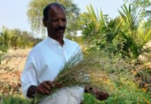 ಹೊಲಗಳೆಂದರೆ ಜೀವವೈವಿಧ್ಯತೆಯ ಬದುಕಿನ ಬೀಡು
