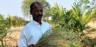 ಹೊಲಗಳೆಂದರೆ ಜೀವವೈವಿಧ್ಯತೆಯ ಬದುಕಿನ ಬೀಡು