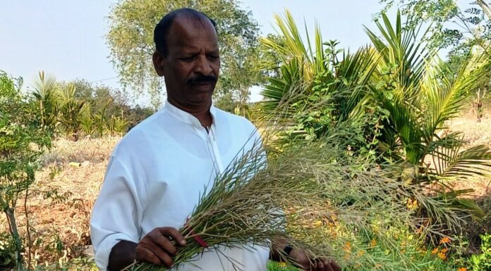 ಹೊಲಗಳೆಂದರೆ ಜೀವವೈವಿಧ್ಯತೆಯ ಬದುಕಿನ ಬೀಡು
