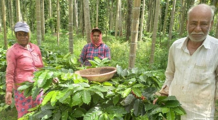 Integrated horticulture helps farmers to feel happy