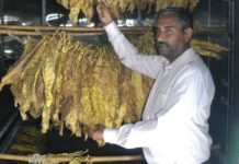 ತಂಬಾಕು ಹದಗೊಳಿಸಲು ವಿನೂತನ ವಿದ್ಯುತ್ ಚಾಲಿತ ಬ್ಯಾರನ್