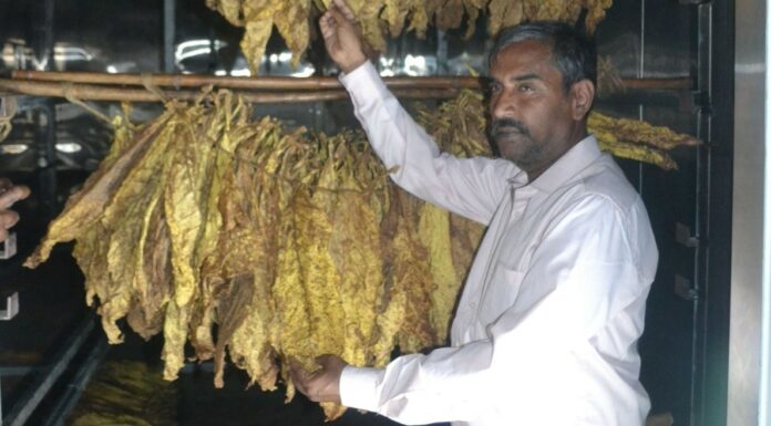 ತಂಬಾಕು ಹದಗೊಳಿಸಲು ವಿನೂತನ ವಿದ್ಯುತ್ ಚಾಲಿತ ಬ್ಯಾರನ್
