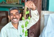 ಮಿಡಿಮಾವು ವಹಿವಾಟು ಶತಕೋಟಿ ಡಾಲರ್ ದಾಟಿಸುವ ಸಾಧ್ಯತೆ