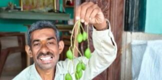 ಮಿಡಿಮಾವು ವಹಿವಾಟು ಶತಕೋಟಿ ಡಾಲರ್ ದಾಟಿಸುವ ಸಾಧ್ಯತೆ