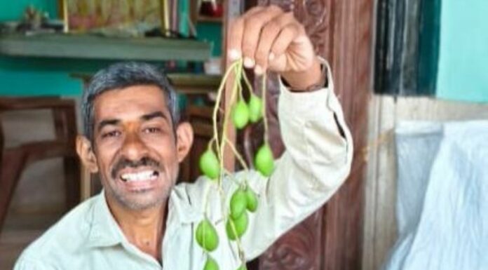 ಮಿಡಿಮಾವು ವಹಿವಾಟು ಶತಕೋಟಿ ಡಾಲರ್ ದಾಟಿಸುವ ಸಾಧ್ಯತೆ