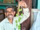 ಮಿಡಿಮಾವು ವಹಿವಾಟು ಶತಕೋಟಿ ಡಾಲರ್ ದಾಟಿಸುವ ಸಾಧ್ಯತೆ