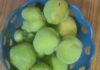 ವಾಟೇಕಾಯಿ ಸೂಜು ಮೆಣಸು ಜೋಡಿಯ ಮೌಲ್ಯವರ್ಧನೆ ರುಚಿ