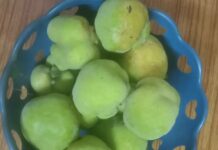 ವಾಟೇಕಾಯಿ ಸೂಜು ಮೆಣಸು ಜೋಡಿಯ ಮೌಲ್ಯವರ್ಧನೆ ರುಚಿ