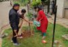 A Hundred Plans for Environmental Protection: “Hombevu” Turns Three
