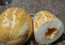 ಕೋಟಿ ರೂಪಾಯಿ ಎಣಿಸೋದಷ್ಟೇ ಬಾಕಿ… !!