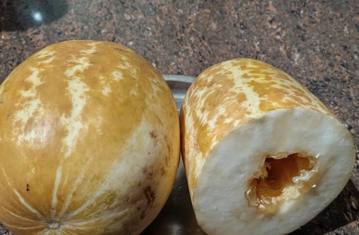 ಕೋಟಿ ರೂಪಾಯಿ ಎಣಿಸೋದಷ್ಟೇ ಬಾಕಿ… !!