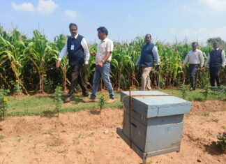 Bringing Innovative Agricultural Technologies to Farmers